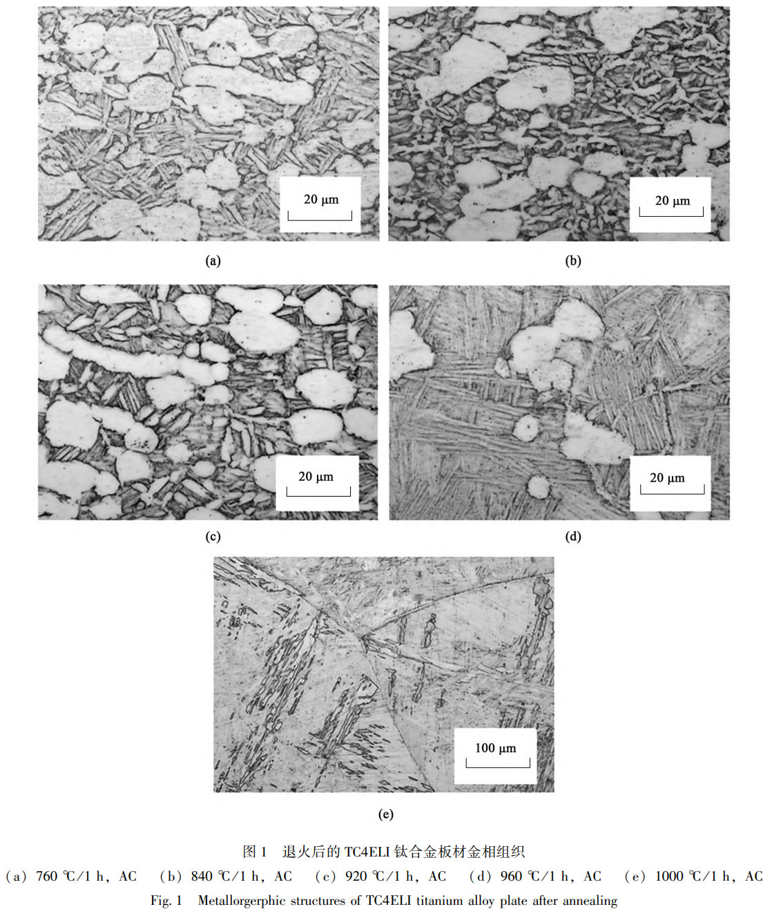 1759499486997519.jpg 未標(biāo)題-1.jpg