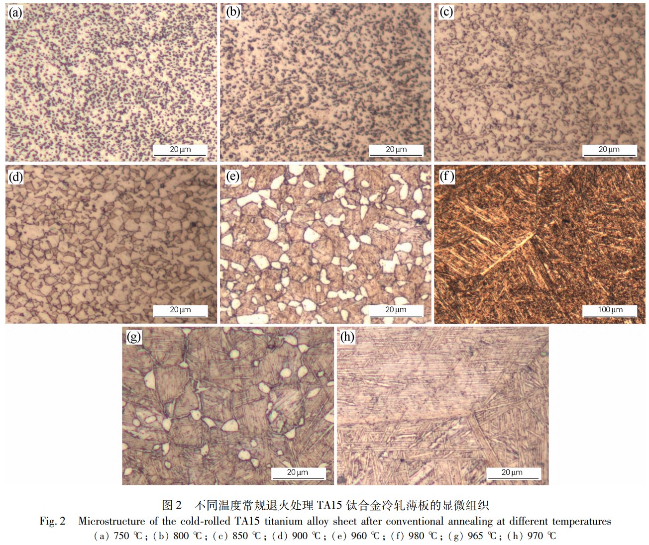 1746670534359702.jpg 2.jpg