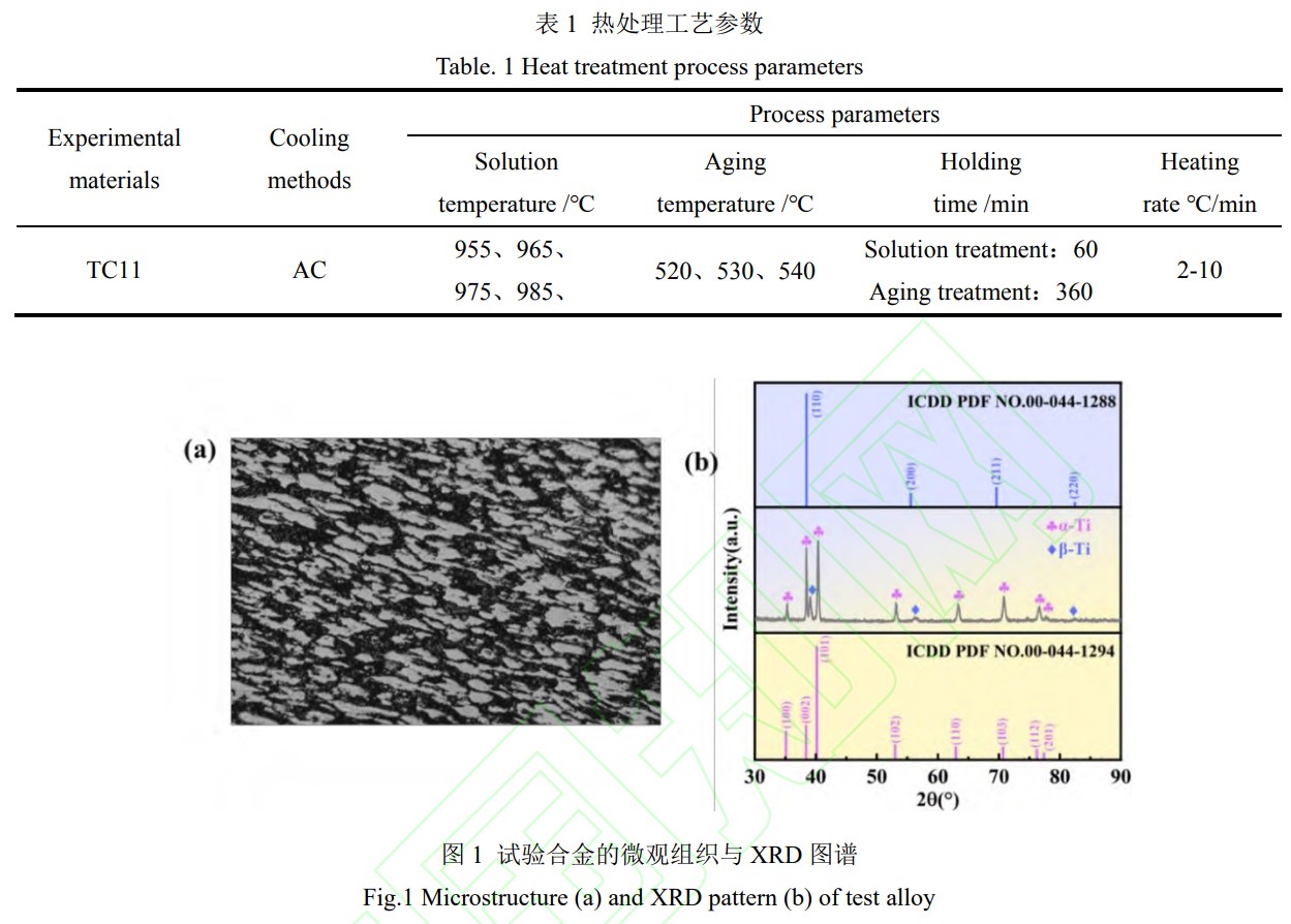 1746869017104235.jpg b1-t1.jpg