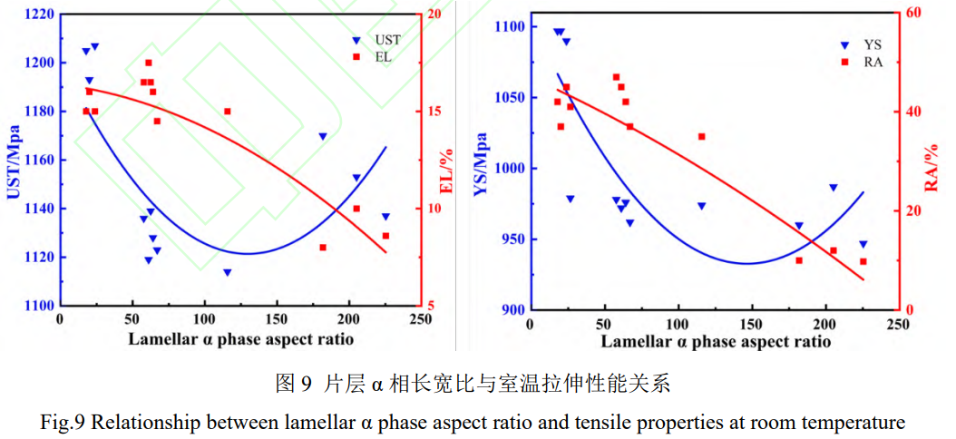 1746869094861065.png 9.png