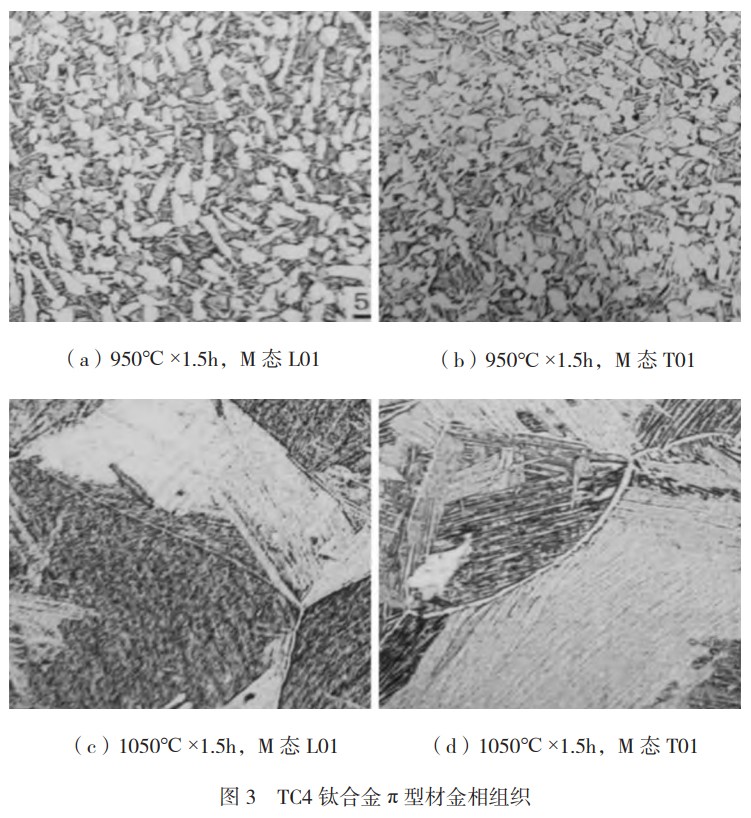 1746966920192610.jpg 3.jpg