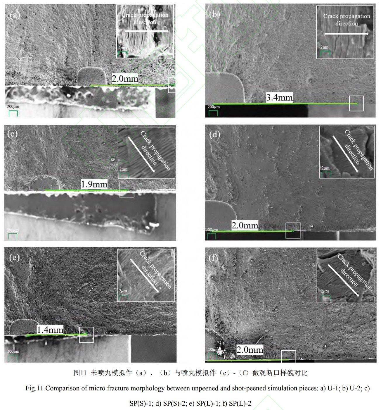 1747020423920191.jpg 11.jpg