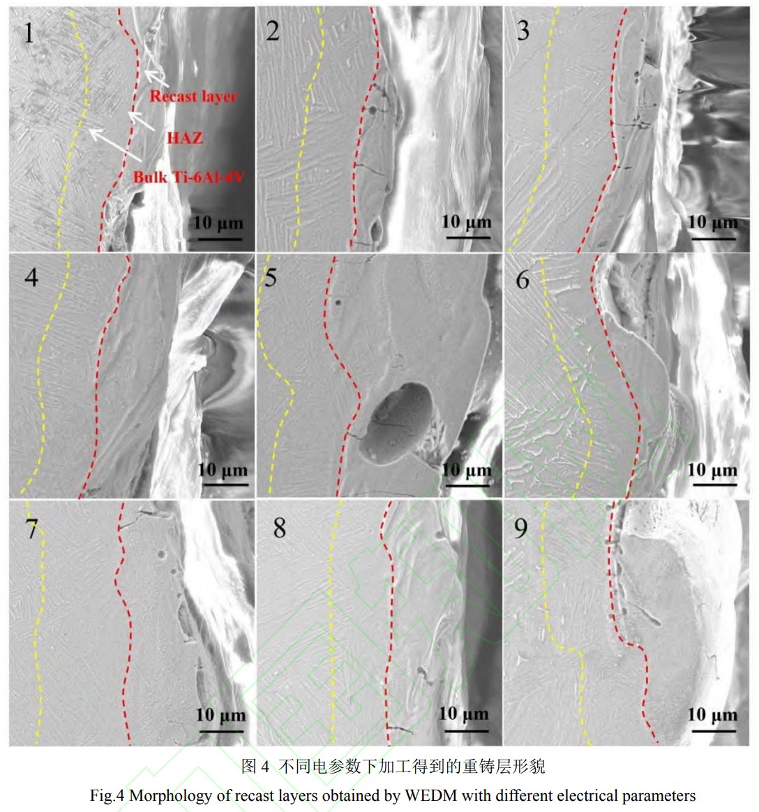 1747038982857365.jpg 4.jpg