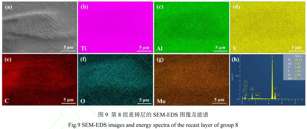 1747039169571849.png 截圖20250512163428.png