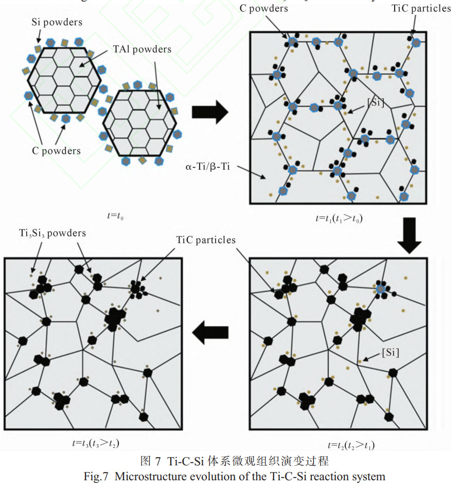 1759393296138261.jpg 5.jpg