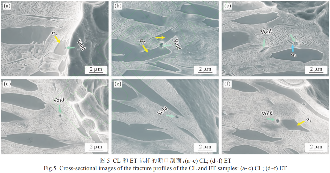 1759415792199065.png 截圖20251002223139.png