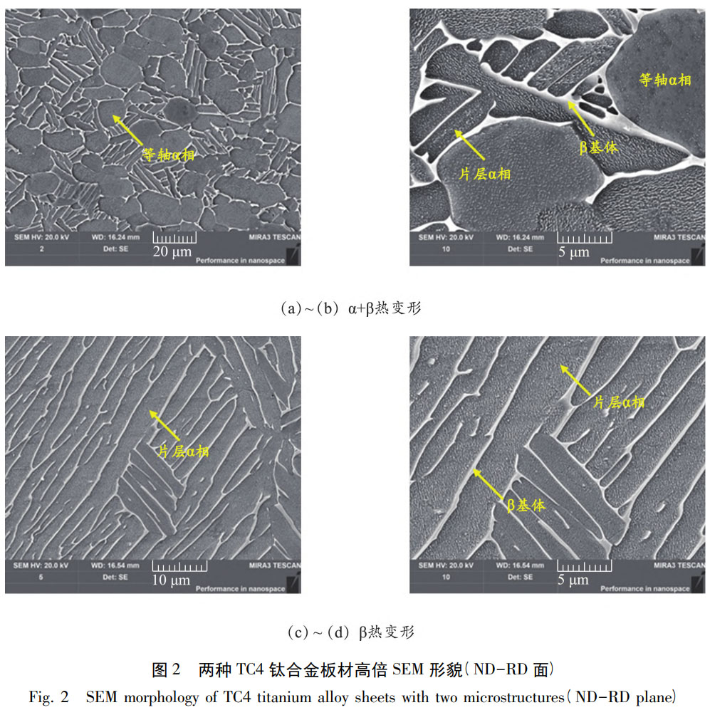 1759977016398000.jpg 未標(biāo)題-1.jpg